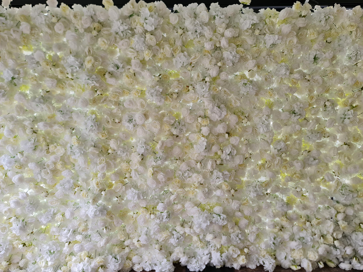White & Off-White Flower Wall | 2.4m x 2.4m Elegant Backdrop Hire