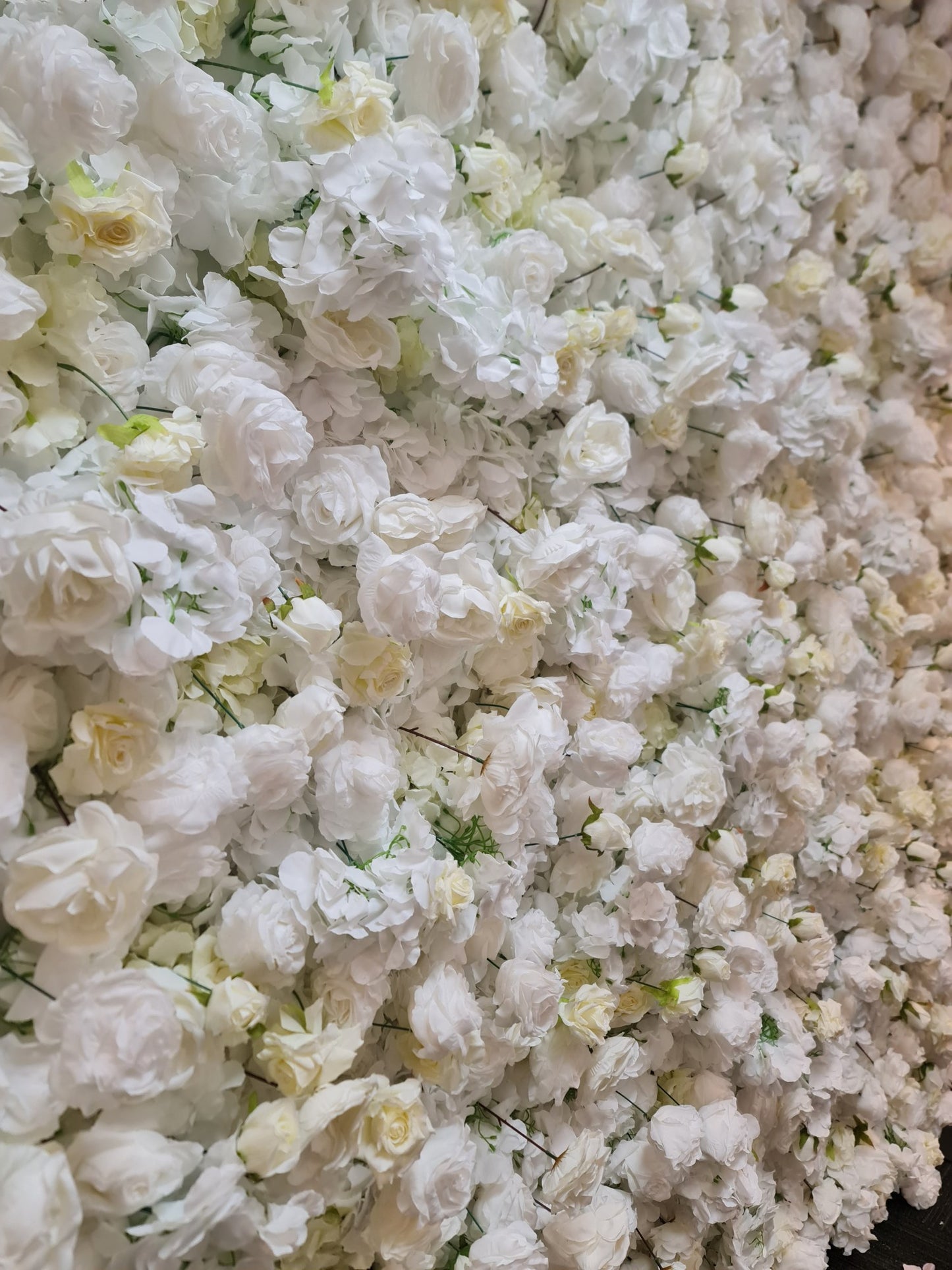 White & Off-White Flower Wall | 4.8m x 2.4m Elegant Backdrop Hire