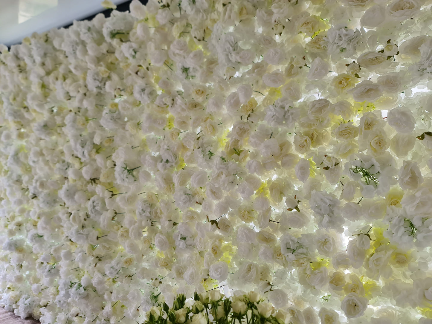 White & Off-White Flower Wall | 4.8m x 2.4m Elegant Backdrop Hire