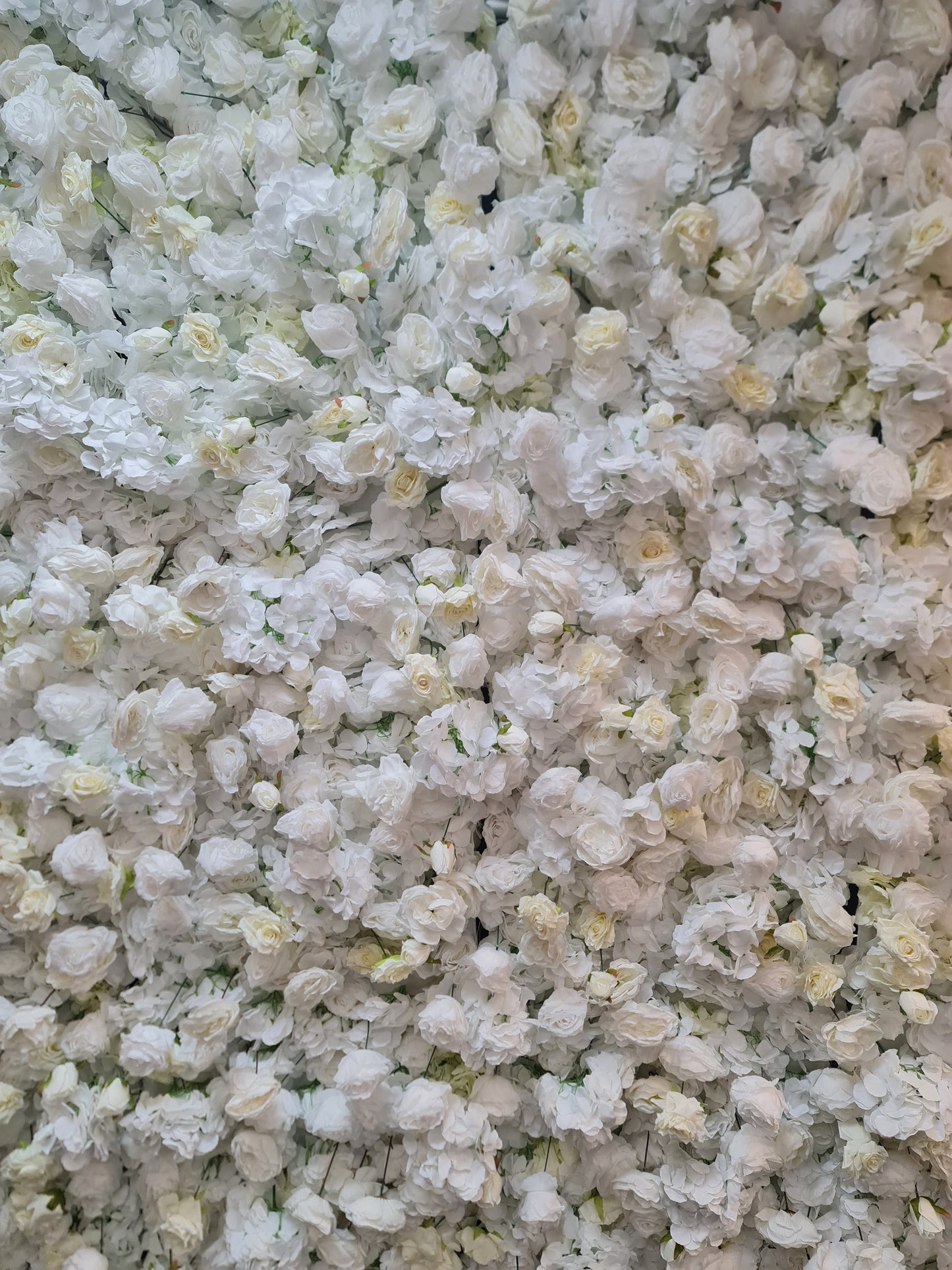 White & Off-White Flower Wall | 2.4m x 2.4m Elegant Backdrop Hire