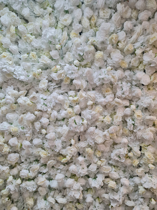 White & Off-White Flower Wall | 2.4m x 2.4m Elegant Backdrop Hire
