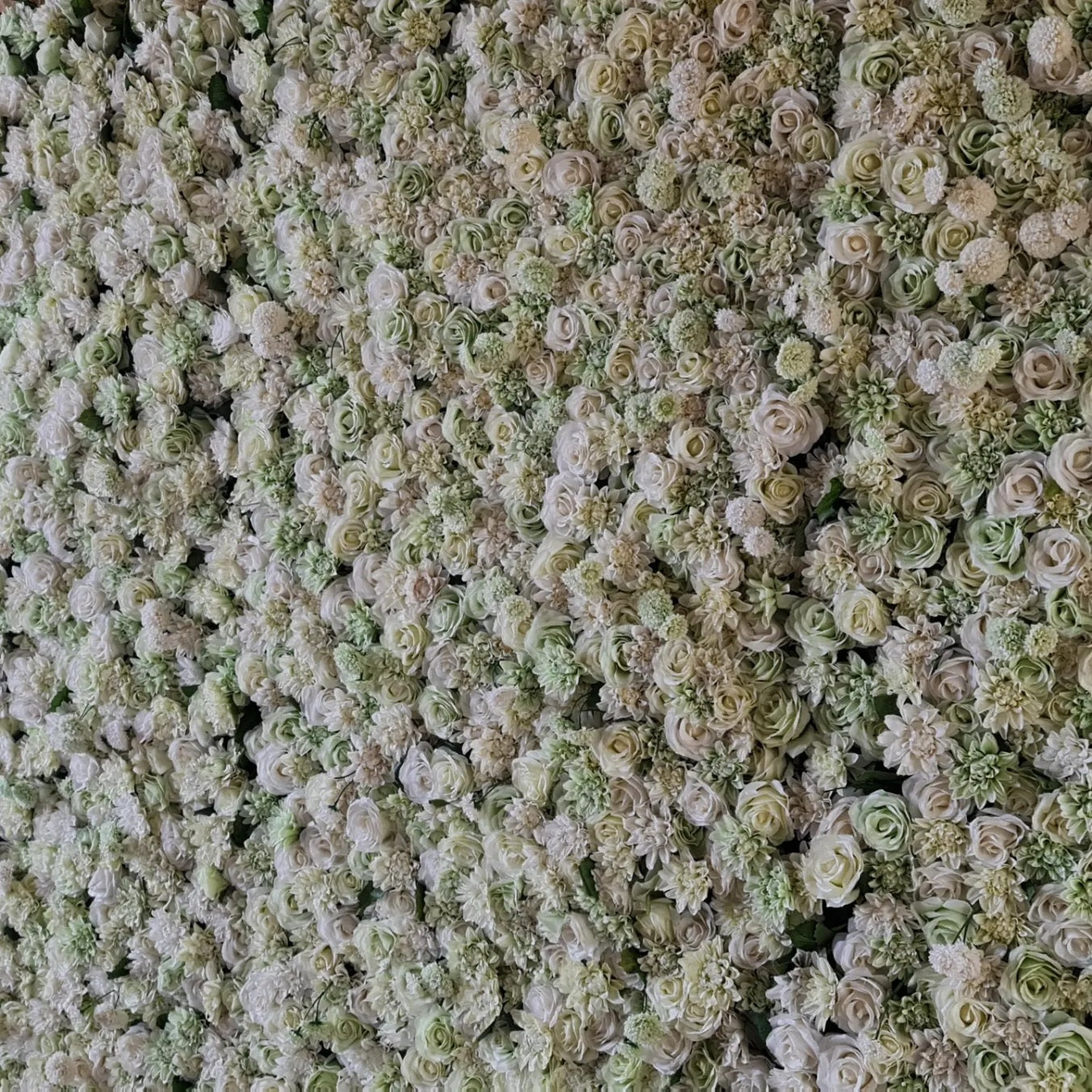 Light Green Flower Wall | 2m x 2m Fresh Backdrop Hire
