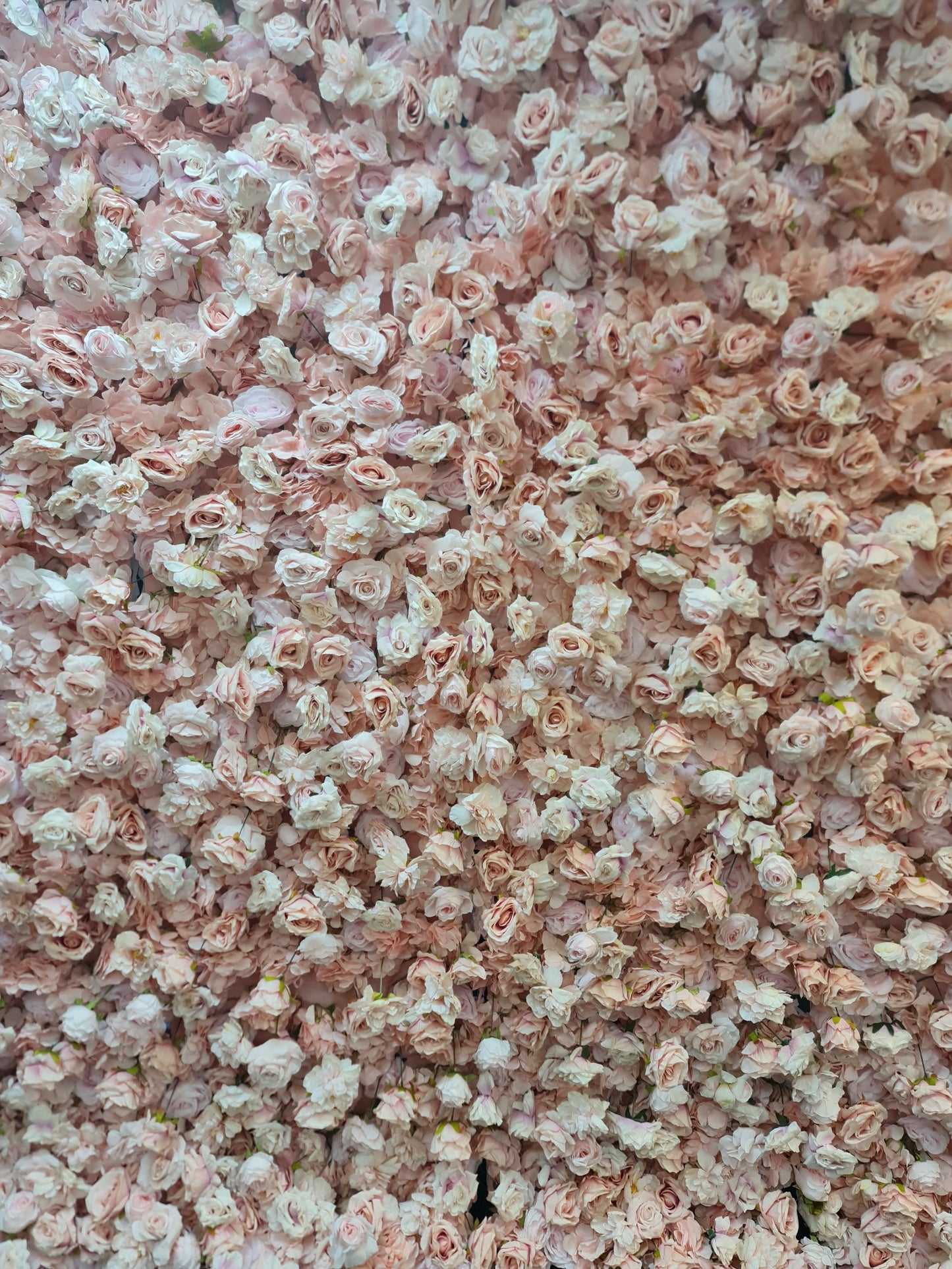 Pink Flower Wall Hire Sydney | Elegant 2.4m x 2.4m Backdrop