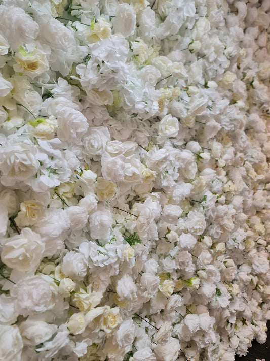 White & Off-White Flower Wall | 2.4m x 2.4m Elegant Backdrop Hire