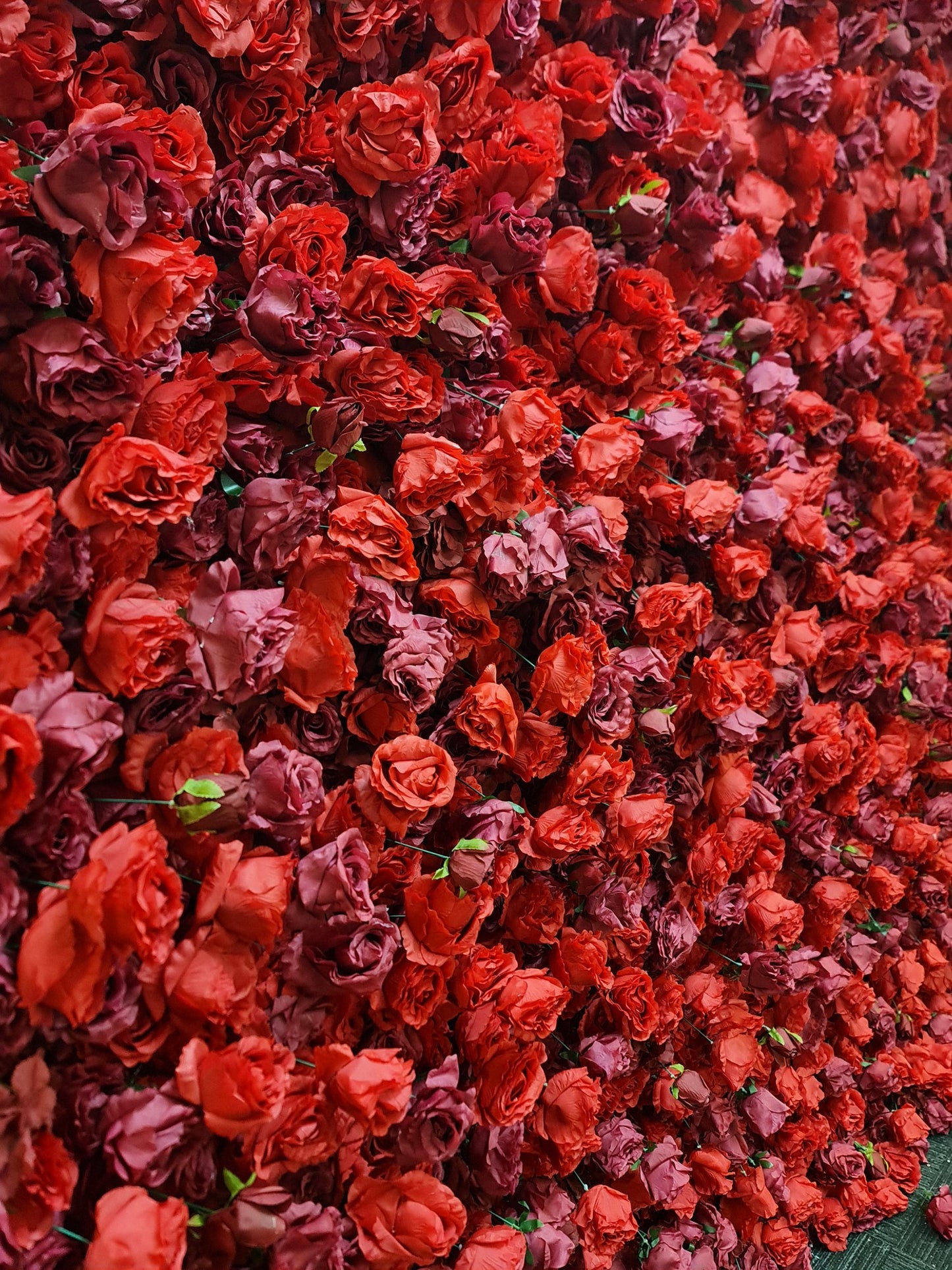 Luxury Red Rose Flower Wall 2.4m x 2.4m