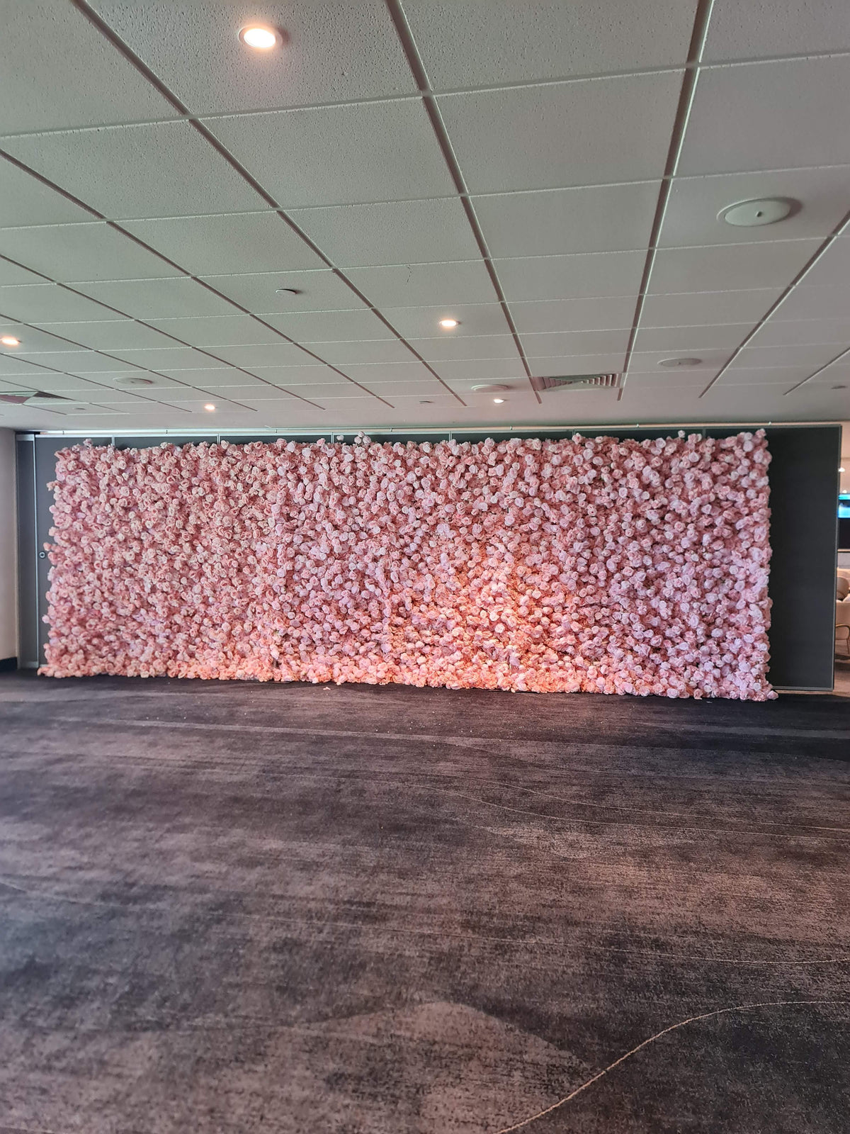 Light Pink Flower Wall Hire Sydney | Romantic Wedding Backdrop 7.2 x 2.4m – OMG Decoration